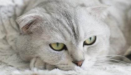 开云体育中心-【夜读】首秀赢球未谢场，穆帅竟甘当配角